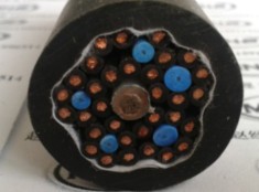 阻燃鋼帶鎧裝計(jì)算機(jī)電纜ZR-DJYVP22-1621.5